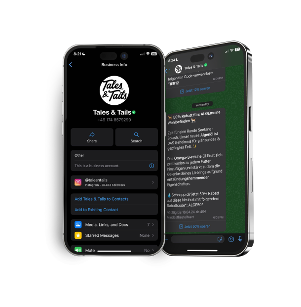 WhatsApp marketing campaign examples on smartphone mockups